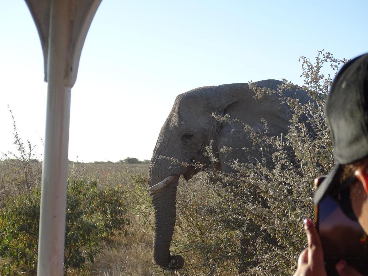 Etosha King Nehale Villa Omuthiya Exterior foto